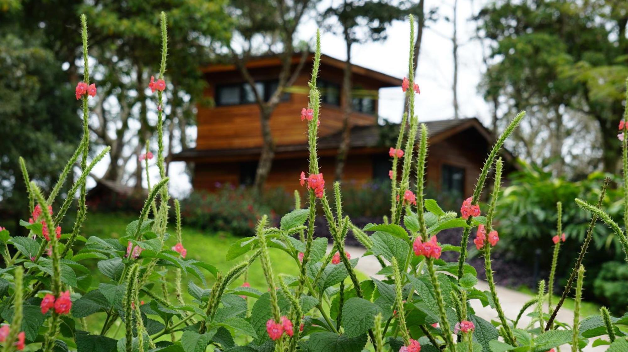 Lucero Golf And Country Club Tree Houses Boquete Esterno foto